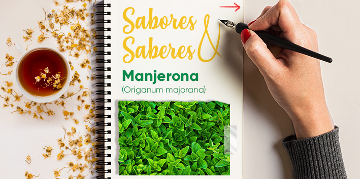 Sabores e saberes: Manjerona